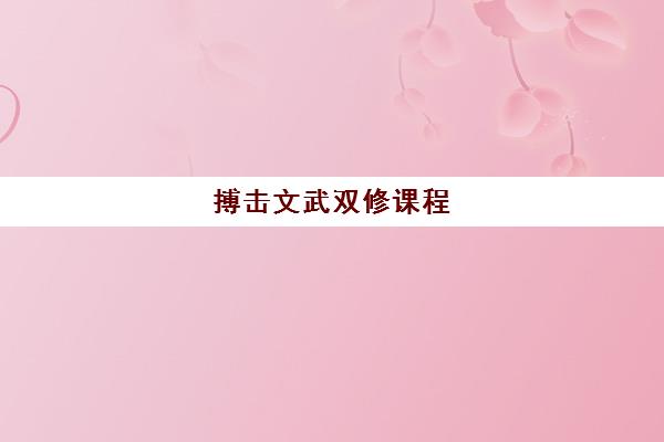 搏击文武双修课程 搏击文武双修课程