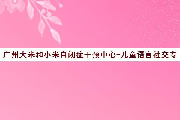 广州大米和小米自闭症干预中心-儿童语言社交专注力训练康复机构