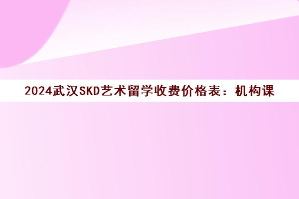 2024武汉SKD艺术留学收费价格表 机构课程费用一览