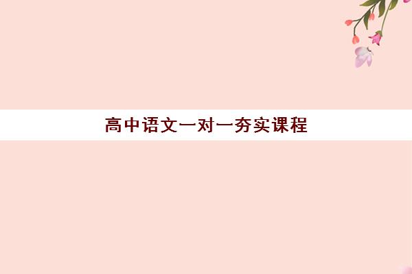 高中语文一对一夯实课程