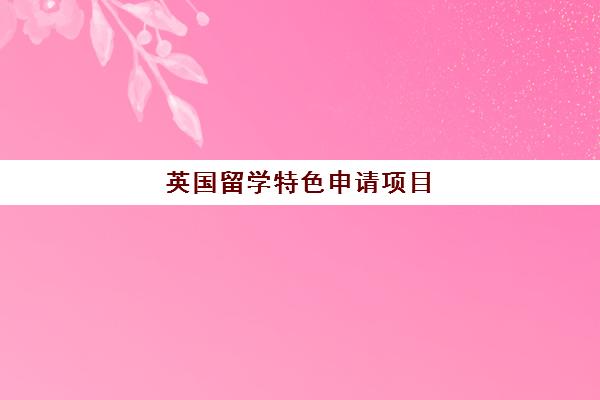 英国留学特色申请项目