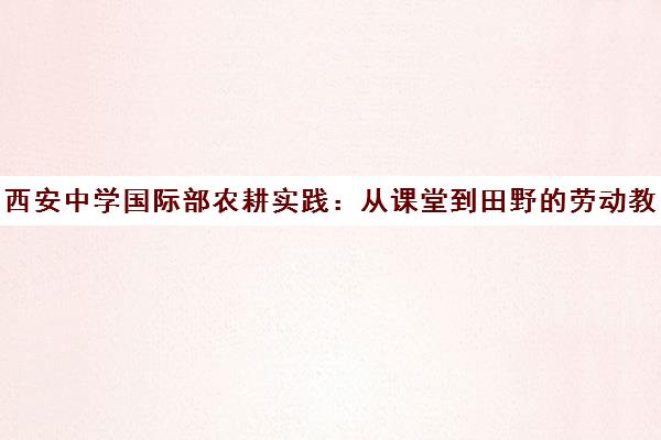 西安中学国际部农耕实践 从课堂到田野的劳动教育新体验