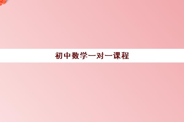 初中数学一对一课程 初中数学一对一课程