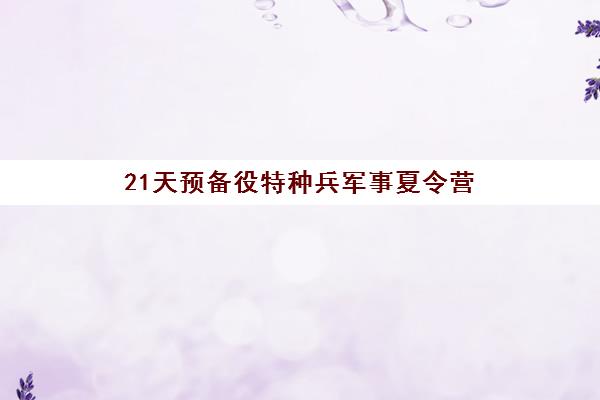 21天预备役特种兵军事夏令营