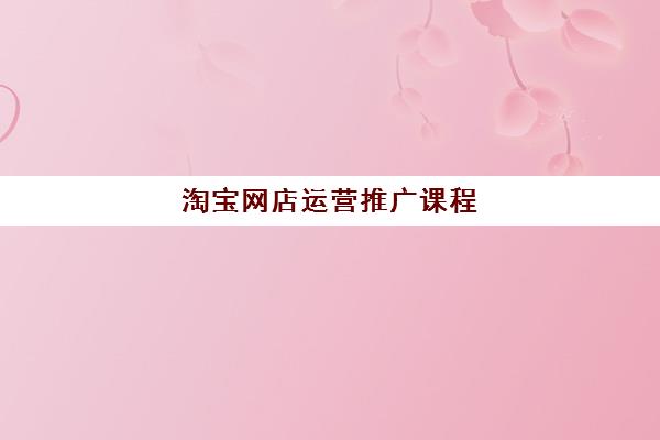 淘宝网店运营推广课程 淘宝网店运营推广课程