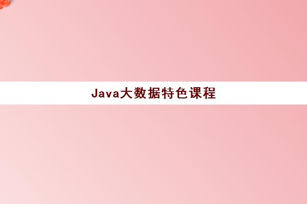 Java大数据特色课程 Java大数据特色课程