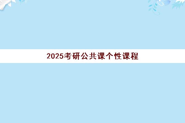 2025考研公共课个性课程 2025考研公共课个性课程