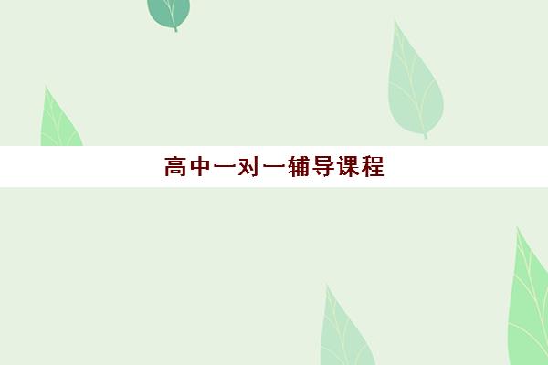 高中一对一辅导课程