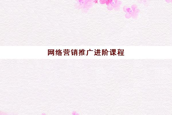 网络营销推广进阶课程 网络营销推广进阶课程