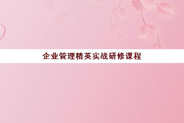 企业管理精英实战研修课程