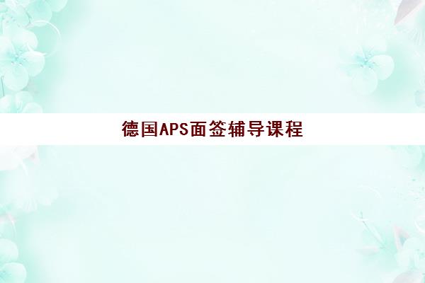 德国APS面签辅导课程 德国APS面签辅导课程