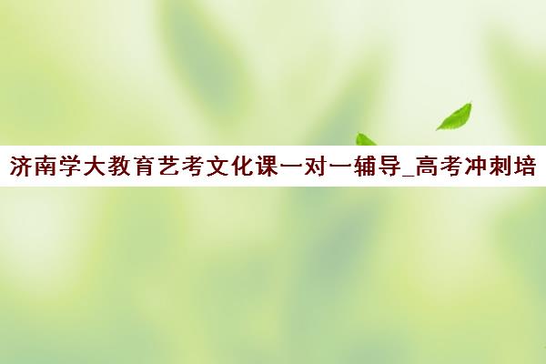 济南学大教育艺考文化课一对一辅导_高考冲刺培训