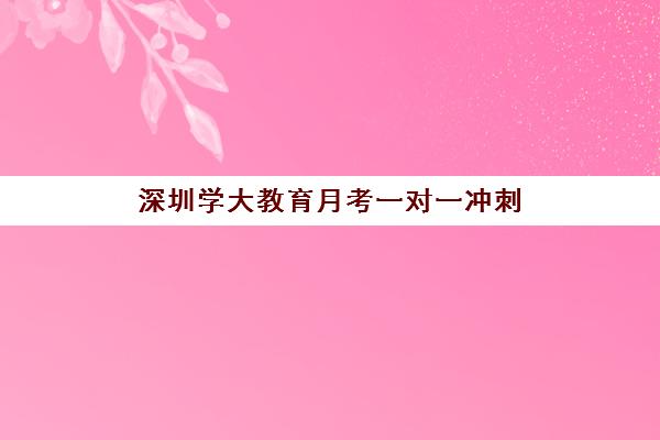 深圳学大教育月考一对一冲刺 快速查漏补缺高效提分