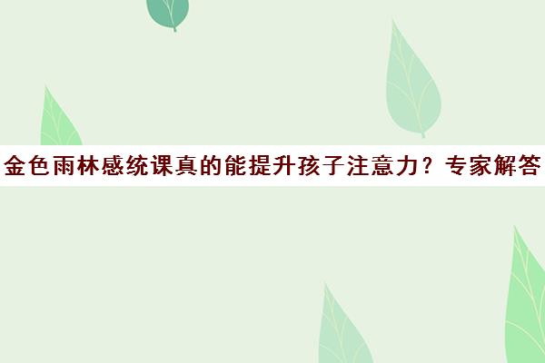 金色雨林感统课真的能提升孩子注意力？专家解答
