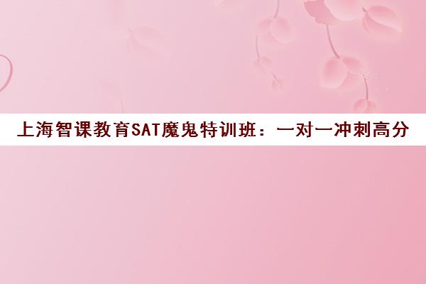 上海智课教育SAT魔鬼特训班 一对一冲刺高分课程