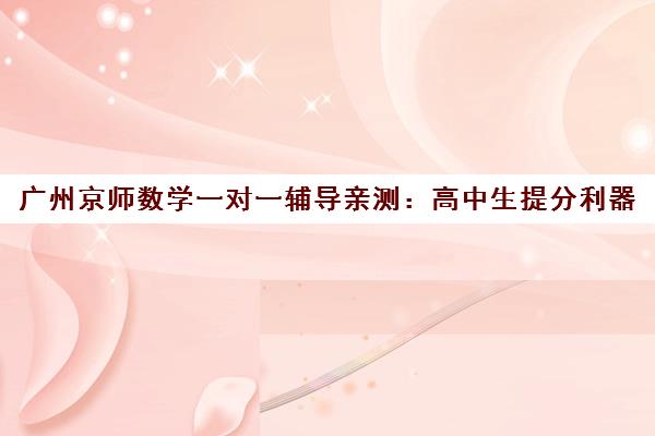 广州京师数学一对一辅导亲测 高中生提分利器