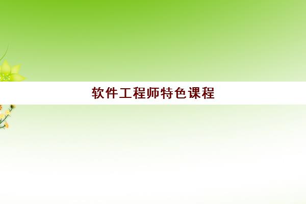 软件工程师特色课程 软件工程师特色课程
