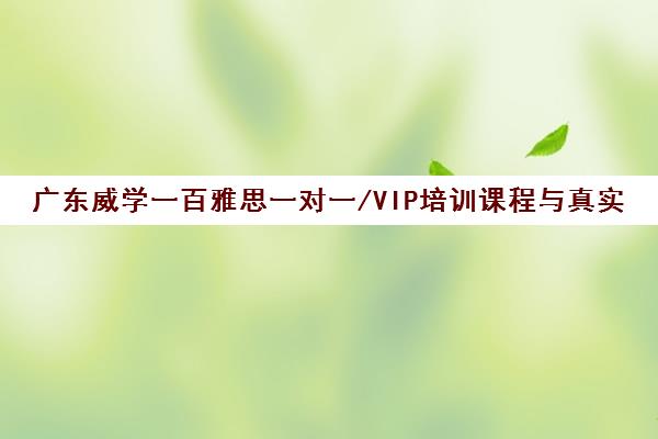 广东威学一百雅思一对一/VIP培训课程与真实学员反馈