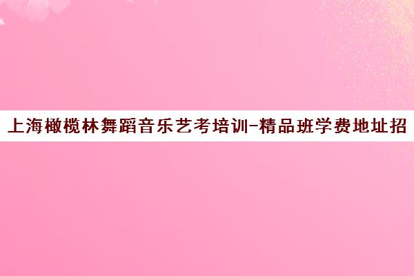上海橄榄林舞蹈音乐艺考培训-精品班学费地址招生简章