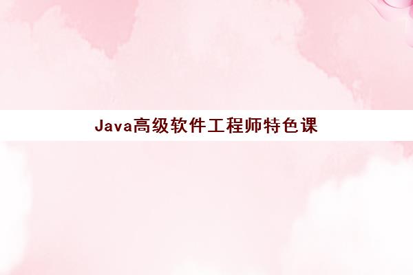 Java高级软件工程师特色课