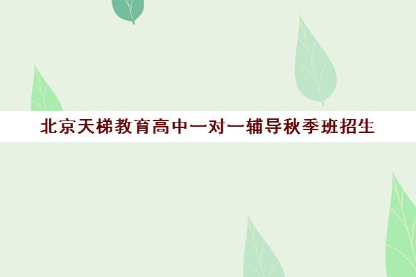 北京天梯教育高中一对一辅导秋季班招生 - 师资专业免费试听