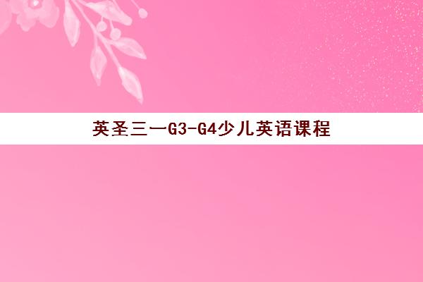 英圣三一G3-G4少儿英语课程