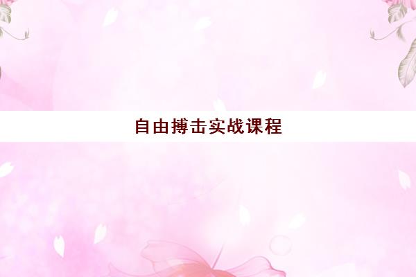 自由搏击实战课程