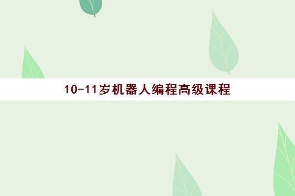 10-11岁机器人编程高级课程 10-11岁机器人编程高级课程