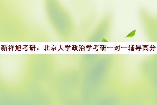 新祥旭考研 北京大学政治学考研一对一辅导高分攻略