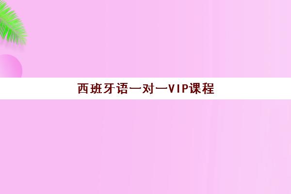 西班牙语一对一VIP课程