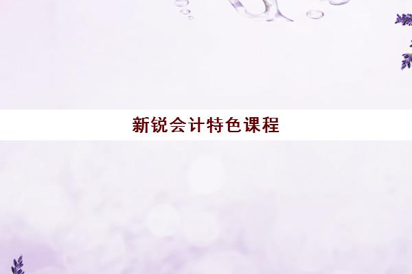 新锐会计特色课程