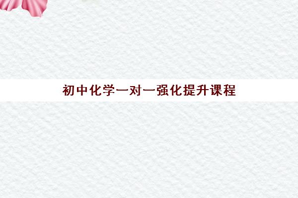 初中化学一对一强化提升课程