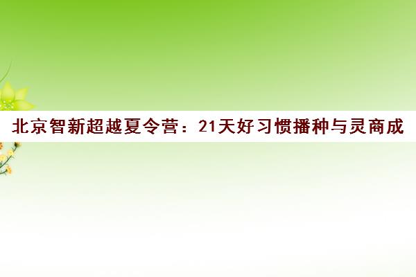北京智新超越夏令营 21天好习惯播种与灵商成长特训营