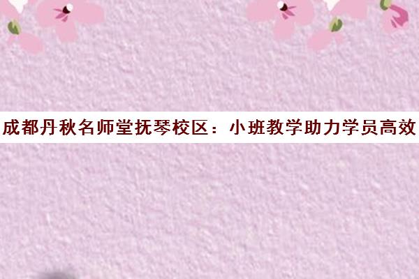 成都丹秋名师堂抚琴校区 小班教学助力学员高效实现梦想