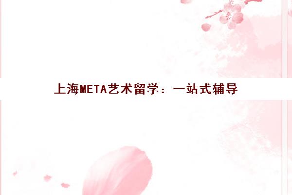 上海META艺术留学 一站式辅导 定制你的名校之路