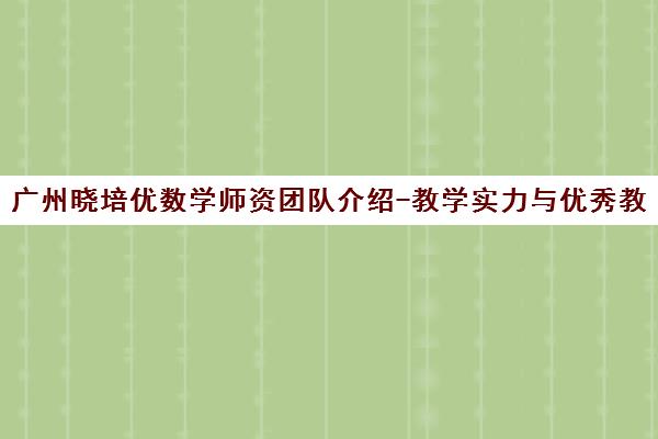 广州晓培优数学师资团队介绍-教学实力与优秀教师展示