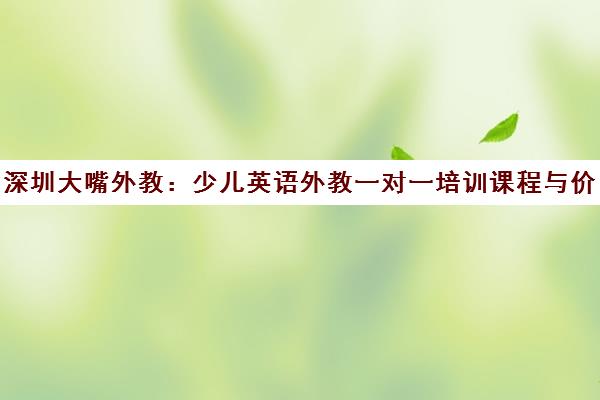 深圳大嘴外教 少儿英语外教一对一培训课程与价格