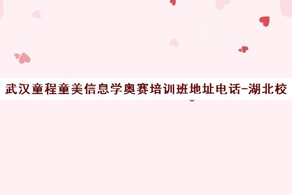 武汉童程童美信息学奥赛培训班地址电话-湖北校区课程