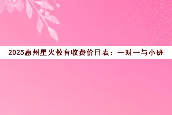 2025惠州星火教育收费价目表 一对一与小班课价格明细