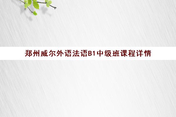 郑州威尔外语法语B1中级班课程详情 郑州威尔外语法语B1中级班课程详情