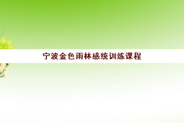 宁波金色雨林感统训练课程 改善儿童感统失调 提升学习能力 宁波金色雨林感统训练课程 改善儿童感统失调 提升学习能力