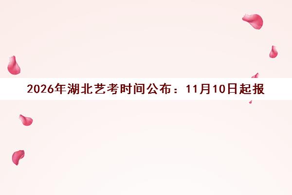 2026年湖北艺考时间公布 11月10日起报名 音乐类1月12日开考