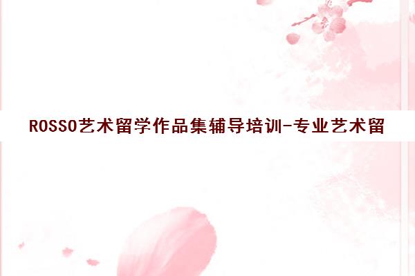 ROSSO艺术留学作品集辅导培训-专业艺术留学申请机构 ROSSO艺术留学作品集辅导培训-专业艺术留学申请机构