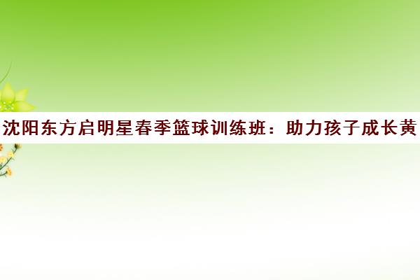 沈阳东方启明星春季篮球训练班 助力孩子成长黄金期 沈阳东方启明星春季篮球训练班 助力孩子成长黄金期