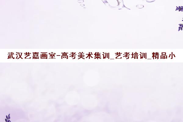 武汉艺嘉画室-高考美术集训_艺考培训_精品小班助你冲刺美院