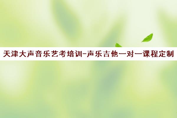 天津大声音乐艺考培训-声乐吉他一对一课程定制