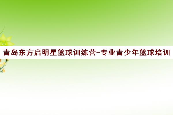 青岛东方启明星篮球训练营-专业青少年篮球培训学校官网