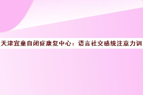 天津宜童自闭症康复中心 语言社交感统注意力训练机构