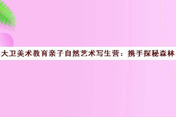 大卫美术教育亲子自然艺术写生营 携手探秘森林 做自然收藏家