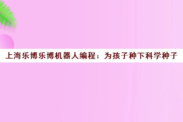 上海乐博乐博机器人编程 为孩子种下科学种子 点燃科技未来 上海乐博乐博机器人编程 为孩子种下科学种子 点燃科技未来
